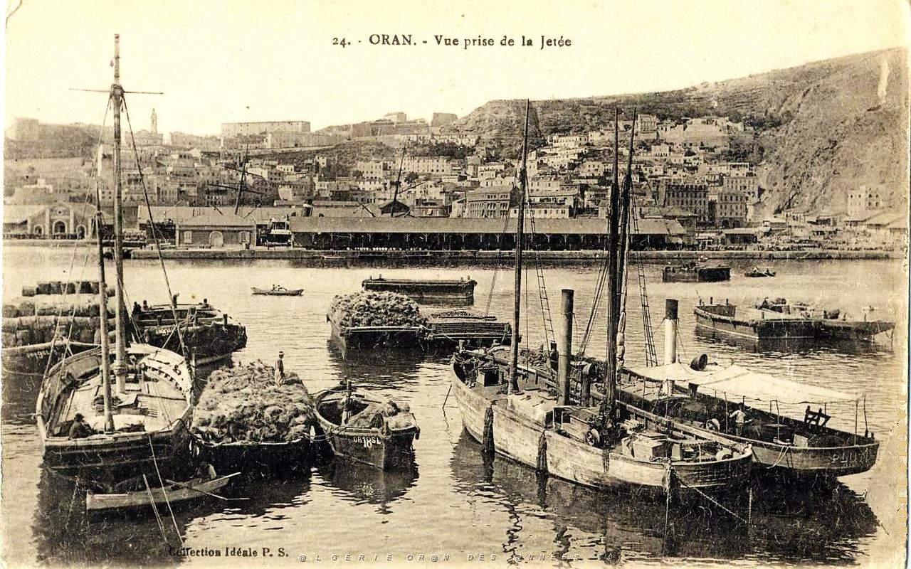 PO e- 010.jpg